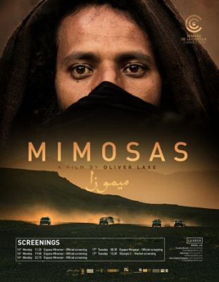 Мимозы (2016)